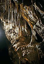 Stalagmite in Crackpot Cave,Wensleydale.